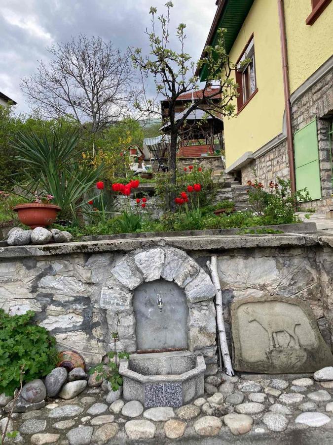 Vila Venera Велинград Экстерьер фото